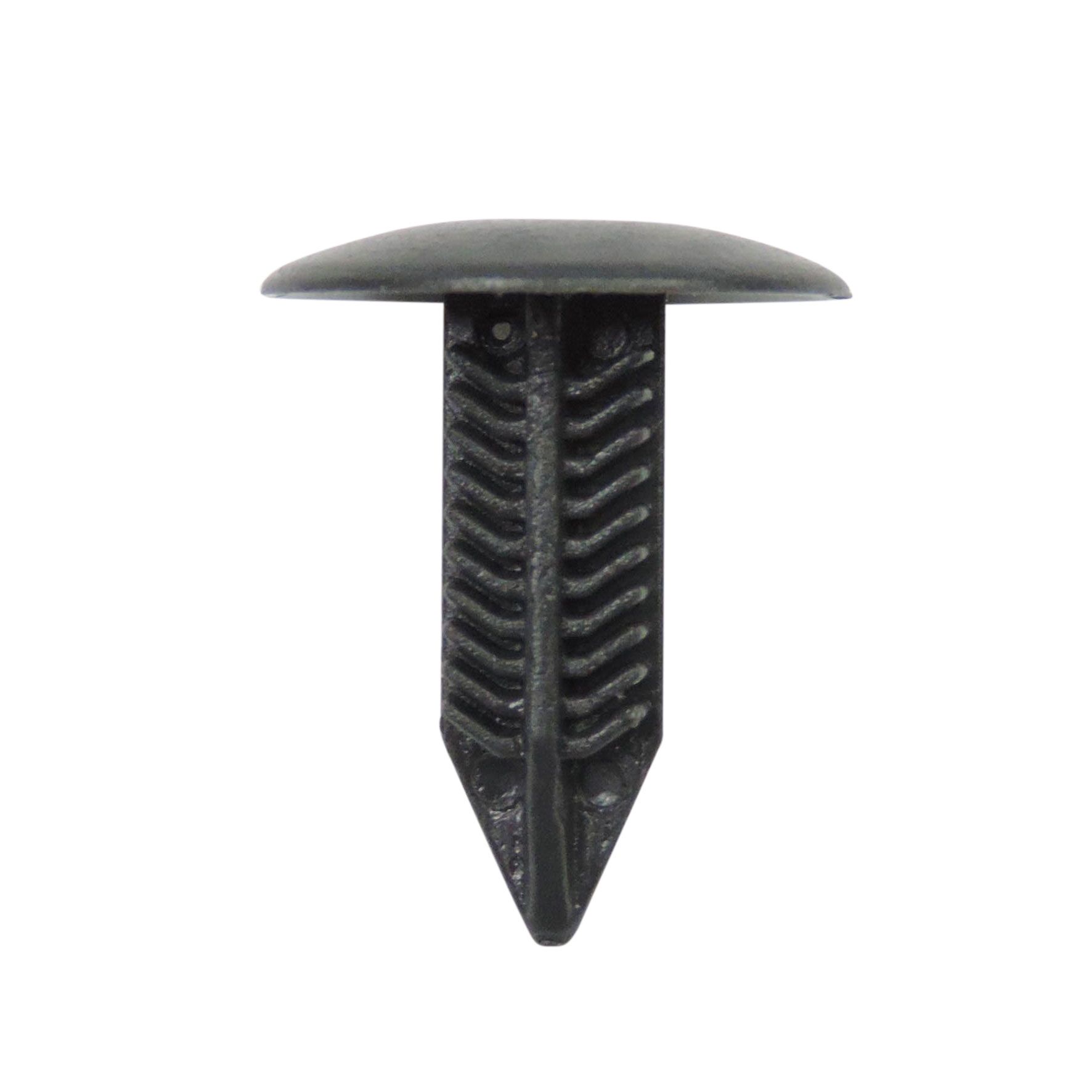 Honda Black Fir Tree Pk10