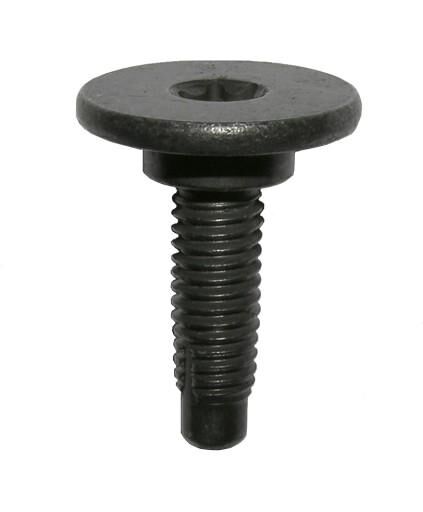 Fiat Black Metal Body Screw