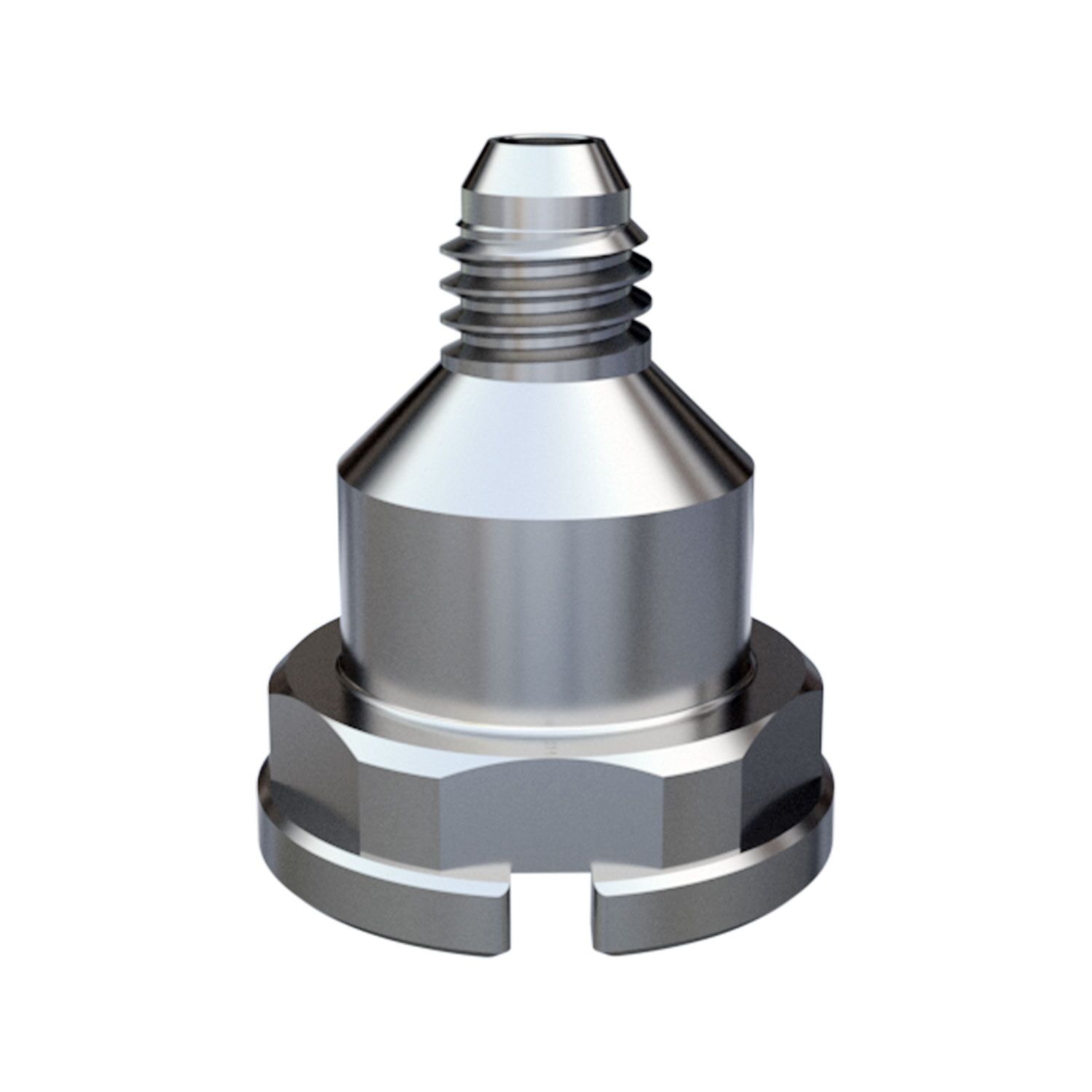 Bodyline PCS Spray Gun Adapter 14 DV1 S