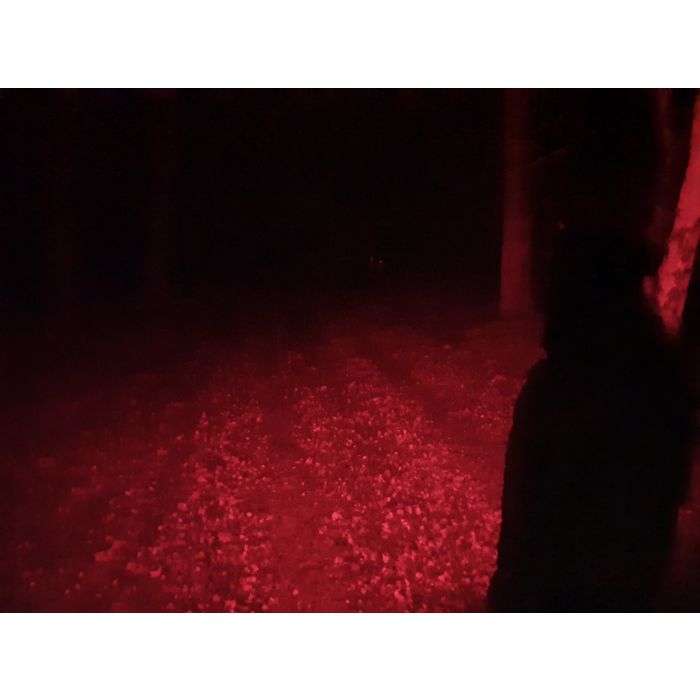 Elwis H200 Focus 200 Lumen Hodelykt - Bilde 9